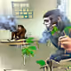 Crazy apes on break