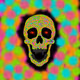 crazy skulls by andy
