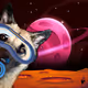 CrazyDog (Official)
