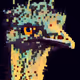 Crazy Emu