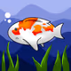 Crazy Koi Club
