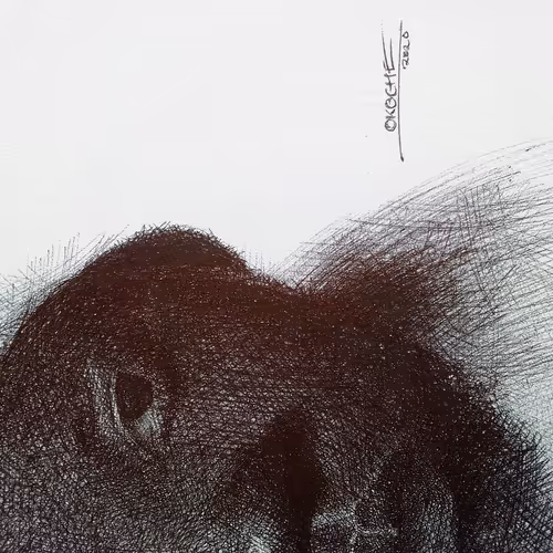 Creative Process Clip