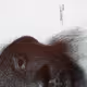 Creative Process Clip