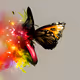 CreativeMessNFT