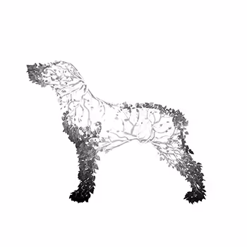 creature_itch 1 - old