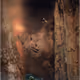 Creatures of the Under-Earth - old
