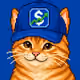 STONKCATS NFT