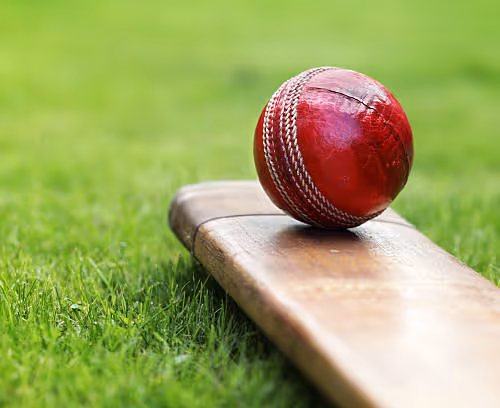 Cricket Batting