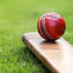 Cricket Batting