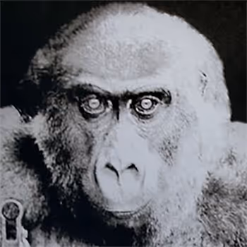 Critically Endangered - old