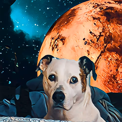 CritterMania Collection