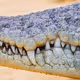 Crocs V4 - old