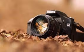 Crptdy Photography