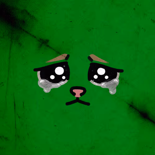 Crying Cat