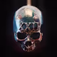 CrypGnostic