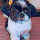 Crypt-tZu Gangsters