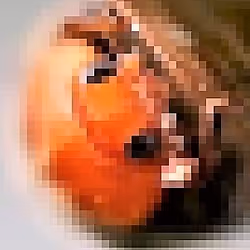 项目媒体占位符