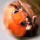 CRYPT0_BUG5 - old