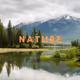 Crypt0 Nature