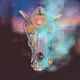 Lucky Crypto Coyotes