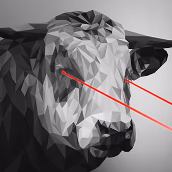 Crypto Bulls PG