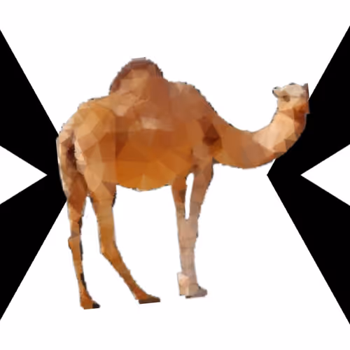 Crypto Camels NFTA