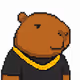 Crypto Capybara Club