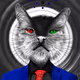 CRYPTO CAT ADA