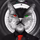 CRYPTO CAT ATOM