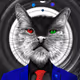 CRYPTO CAT AXS