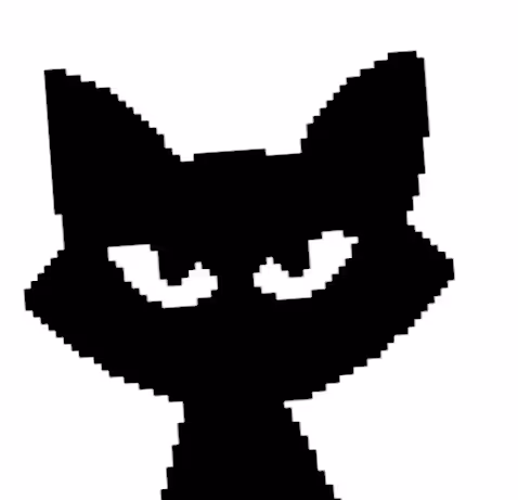 Crypto CAT Black