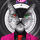 CRYPTO CAT DOT