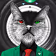CRYPTO CAT KUB