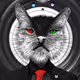 CRYPTO CAT NEAR