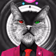 CRYPTO CAT UNI