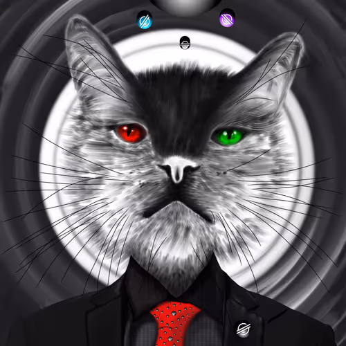 CRYPTO CAT XLM