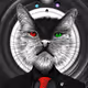 CRYPTO CAT XLM