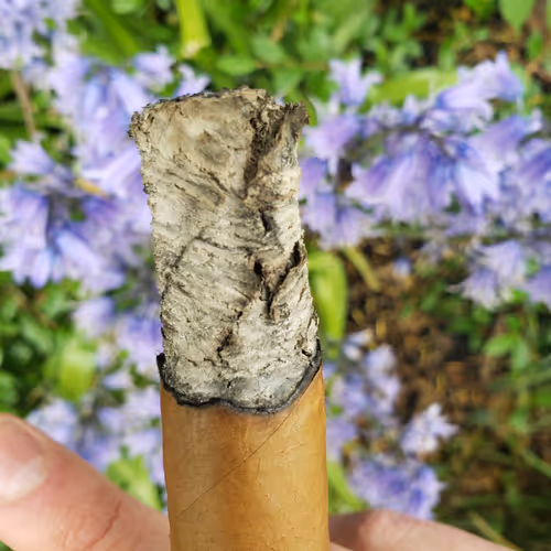 crypto contemplations and innovations club