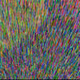 Crypto Familiars