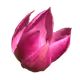 crypto flower shop