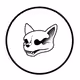 Crypto Fox Anime