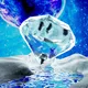 Crypto Gems & Crystals - old