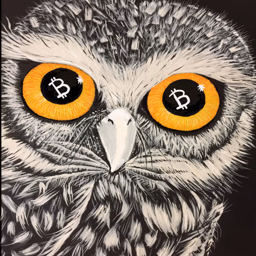 Wise Owls Know Collection