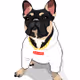 CryptoHenry
