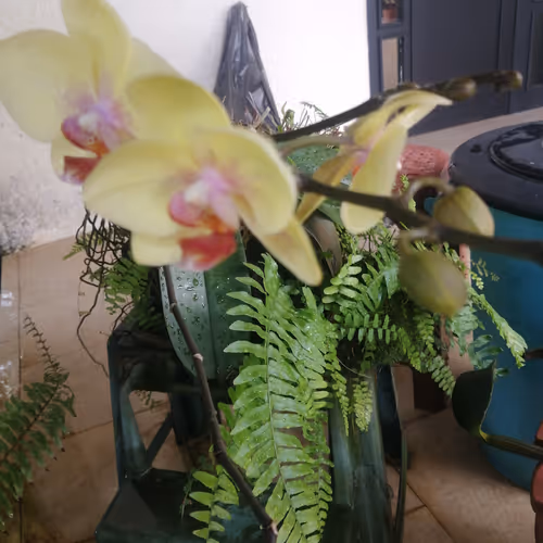 Crypto Landscape Photography