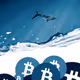 Crypto meets nature