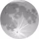Crypto Moon
