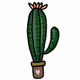 Crypto NFT Cactus