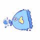 Crypto NFT Fish Collection