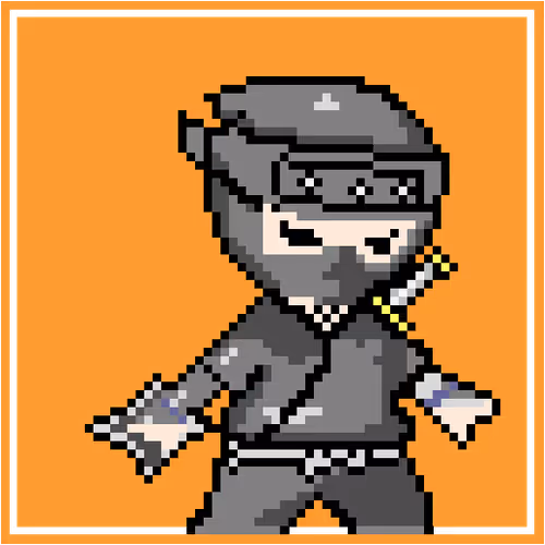 crypto ninja dot.ver